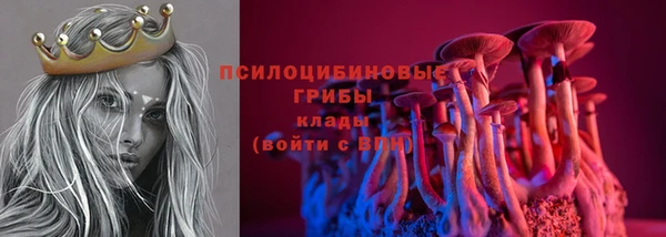 прущий лед Алексин